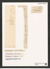 Ardissonia robusta (Ralfs) De Not (de-Toni-Nr.: Genus 68, Species 2678) Zeichnungen Sammlung Grunow (NHMW-BOT-W0373913)
